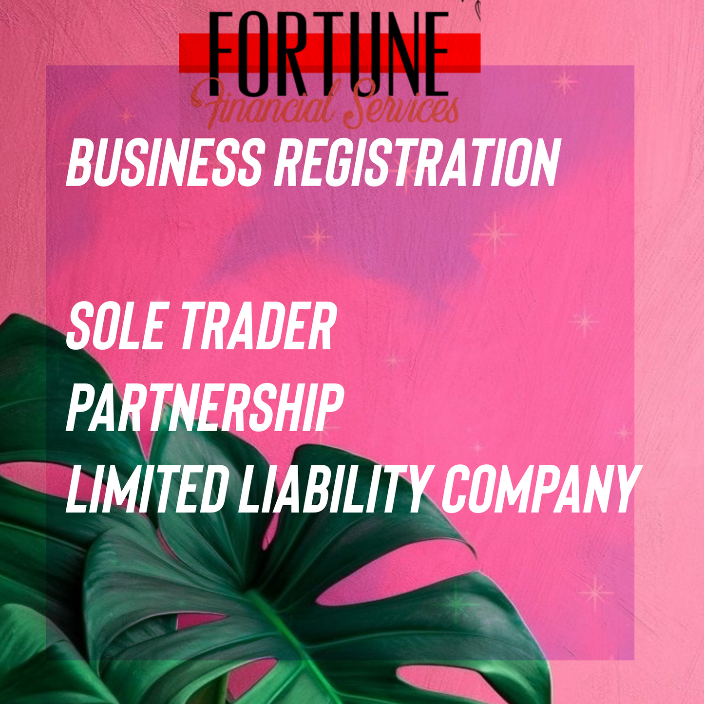 Fortune Financial Services